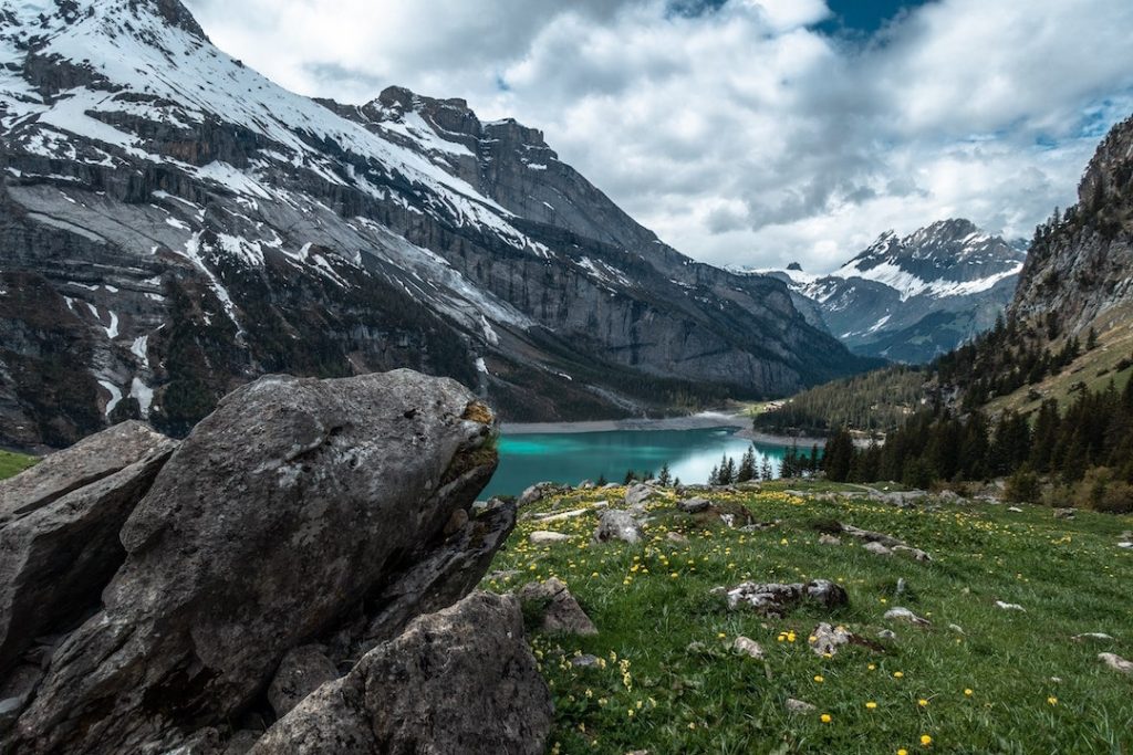 alpine lake and meadow