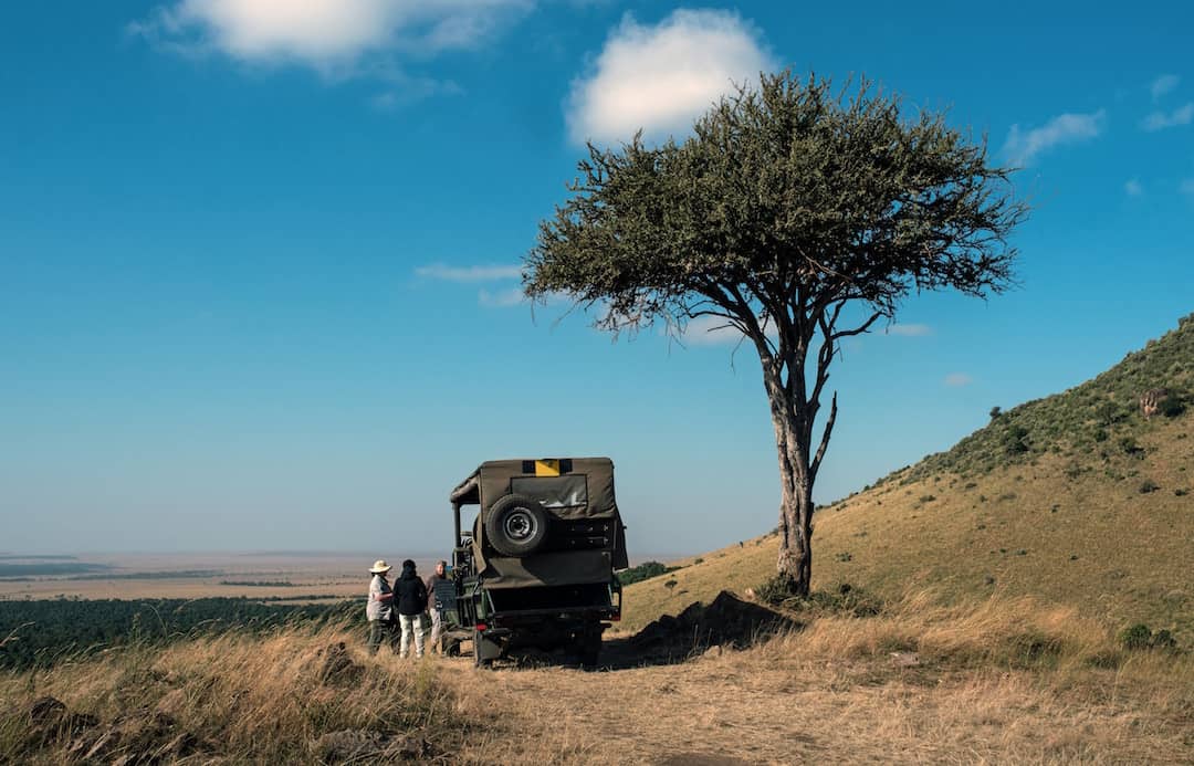 Safari truck under a tree in Africa