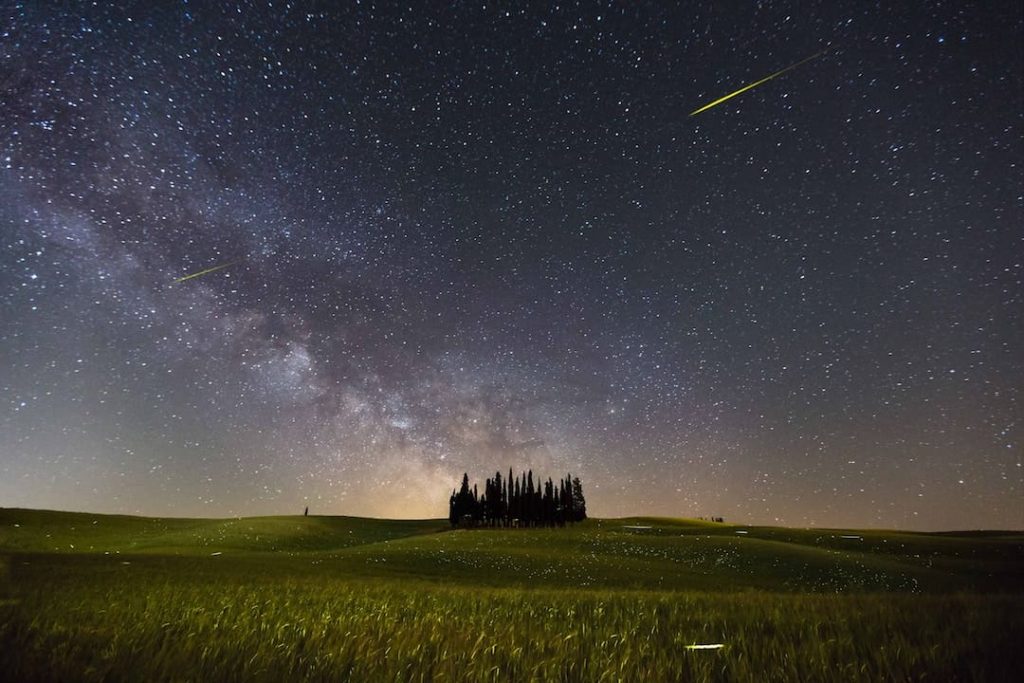 A group of pine trees against the night sky in Tuscany