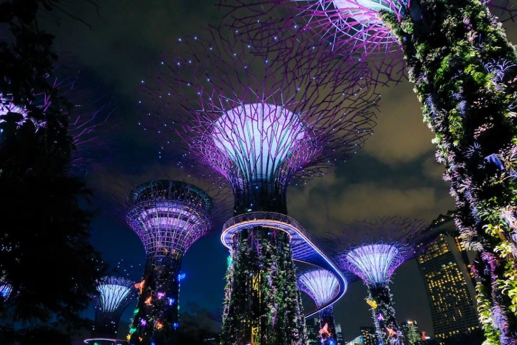 Trees in Gardens by the Bay, Singapore