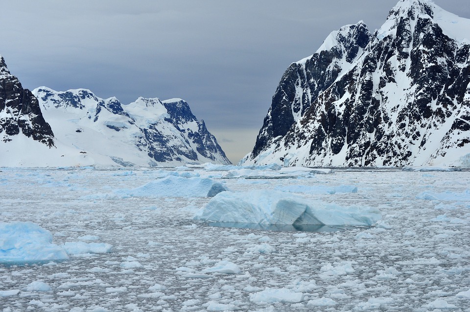 What to Expect on a Cruise to Antarctica