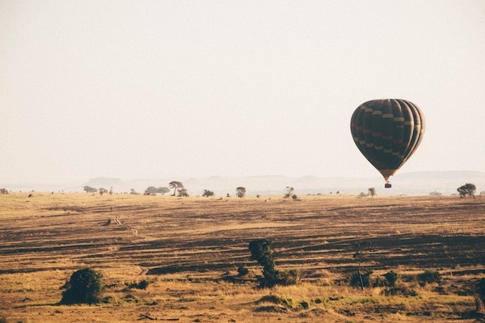 How to Choose the Right Safari for You