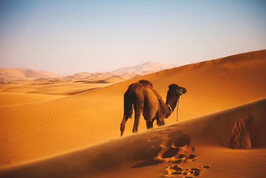 Off the Beaten Path in Morocco