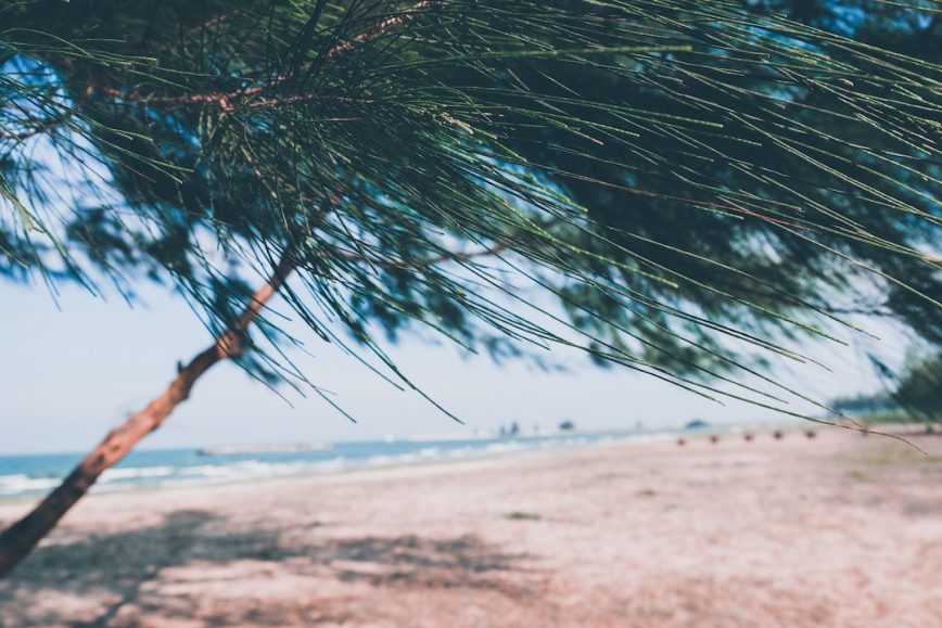 Thailand or Vietnam Beaches? We Help You Choose
