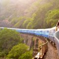 A woman leaning out the window of a train in Goa, India