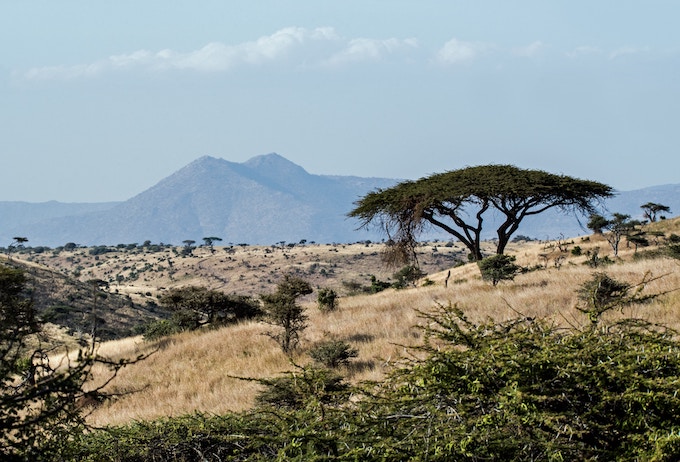 Samburu National Park, Kenya