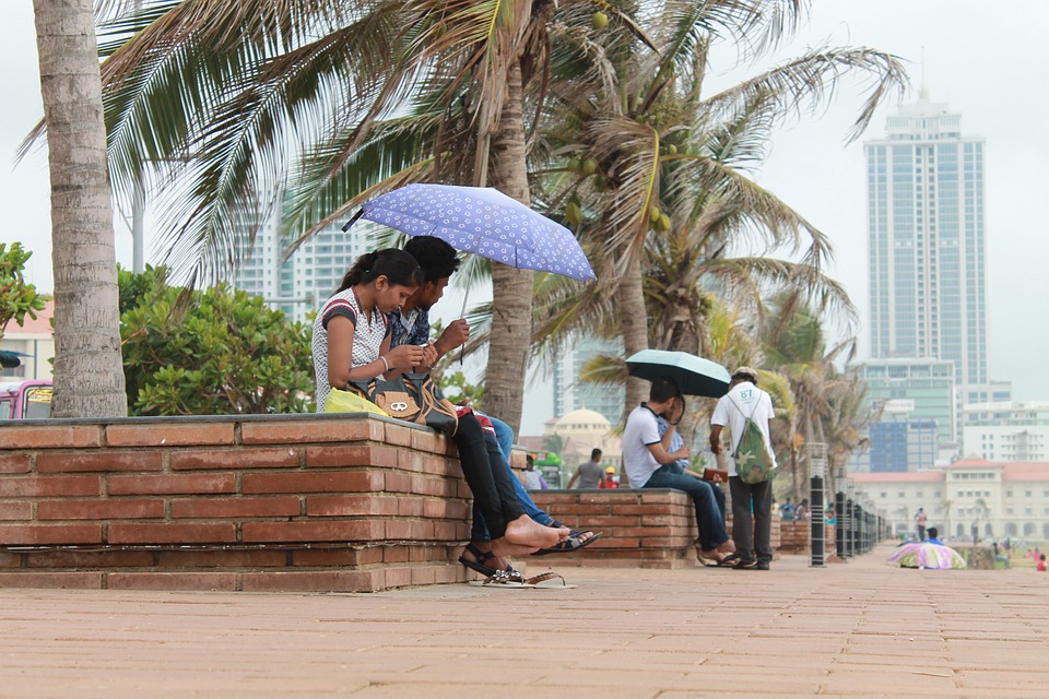 men and women sit below palm trees with colorful umbrellas