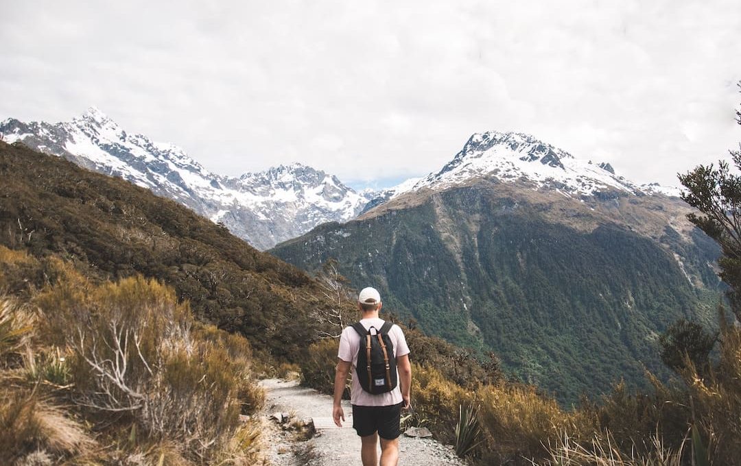 The Best Day Hikes in New Zealand