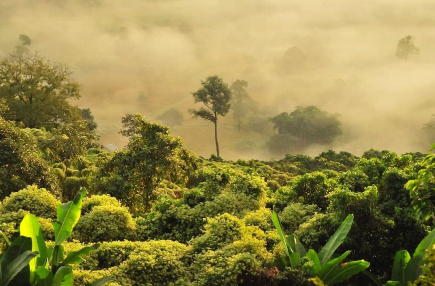 The Best Thai Islands in November
