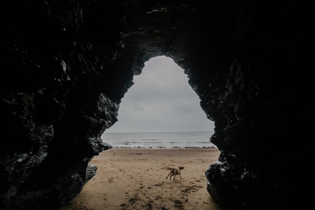 Dog running through a cave along the beach