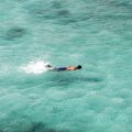 A man swimming in the sea around the Galapagos Islands