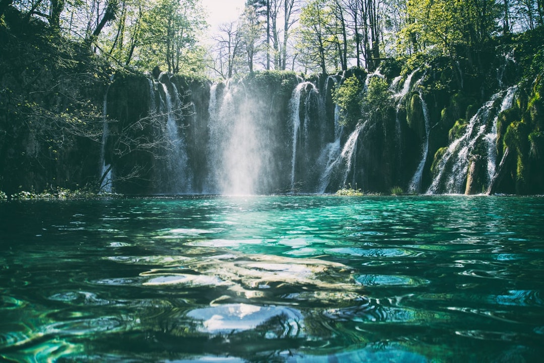green trees and waterfalls during daytime