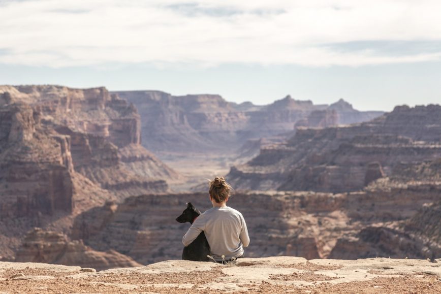 Pet-Friendly Travel Options: Your Complete Guide