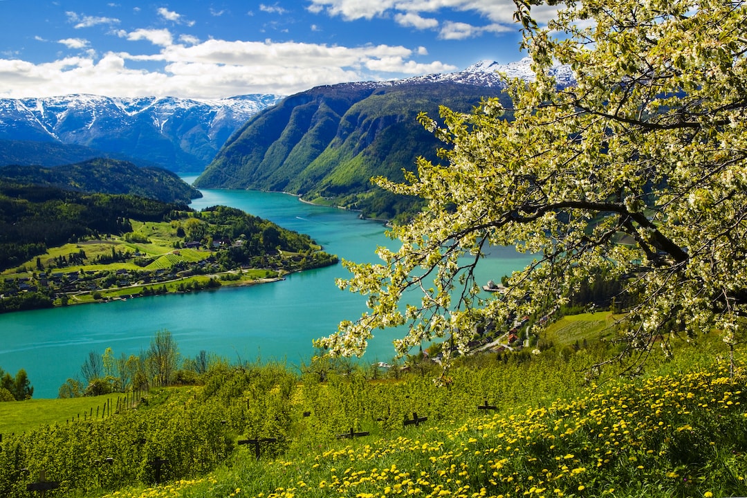 a shot of a green fjord and coast a body of emerald water