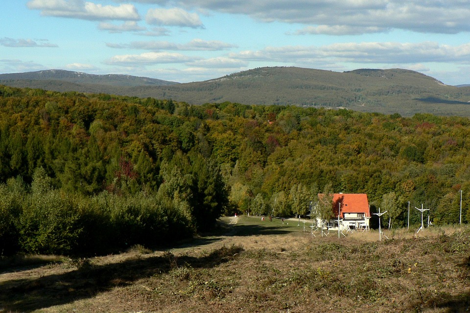 a forest range in the foothills of a mountain with a small hut in them