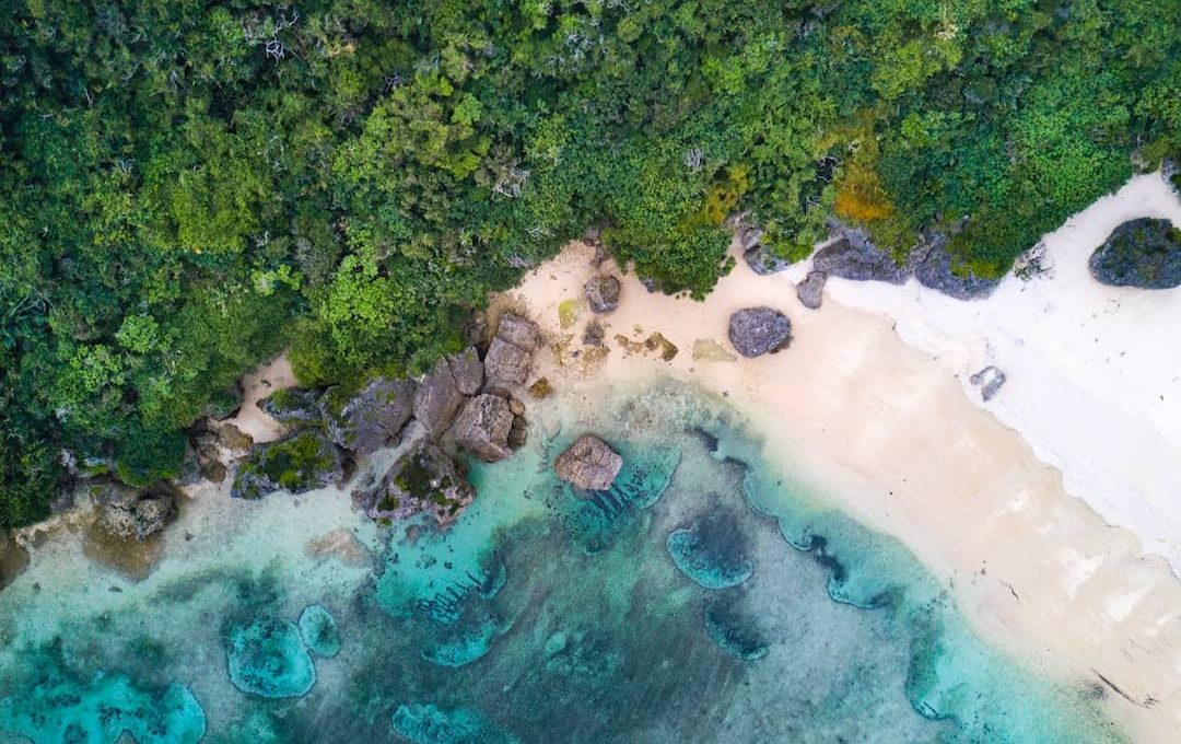 5 of the Best Places to Visit in Japan During Summer