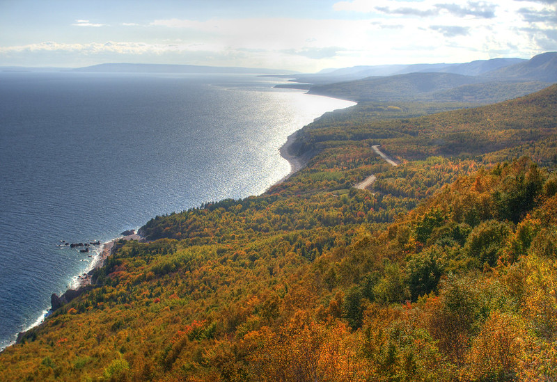 a trail winding its way through a blaze of orange, green and red trees along coastline