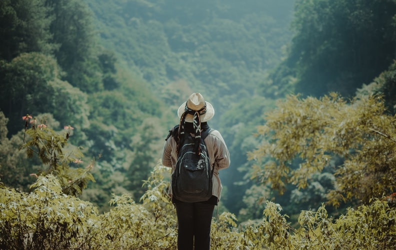 person standing in front on trees at daytime