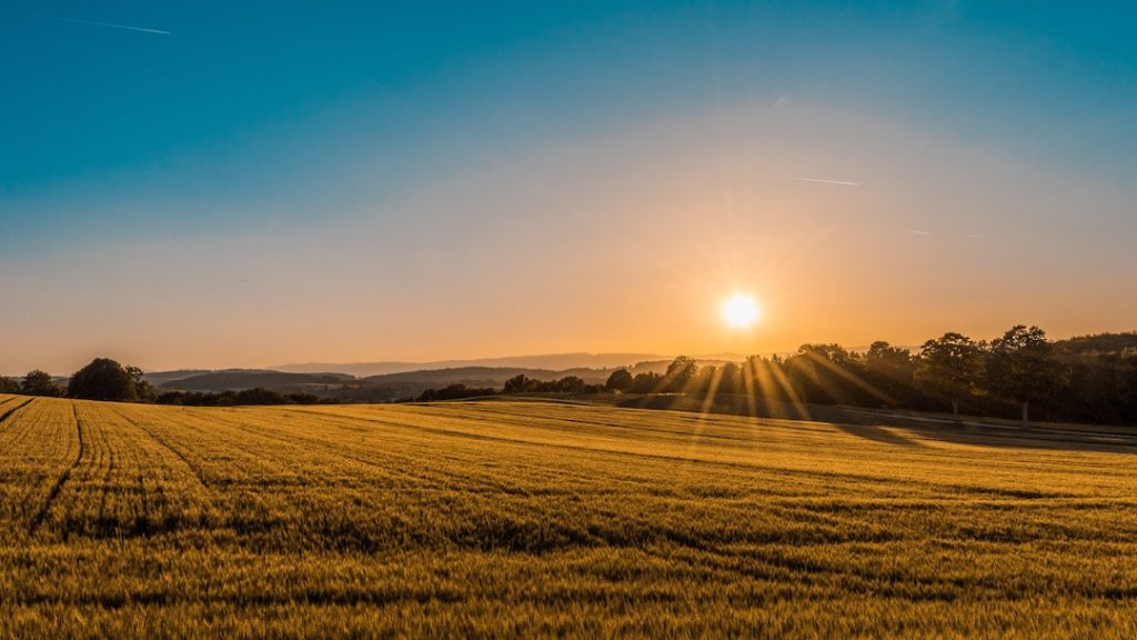 Sun setting over an open field and trees