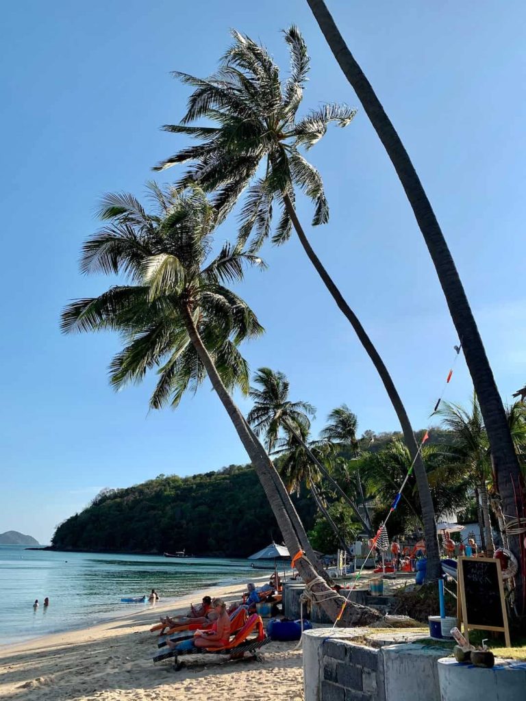 People sitting in lounge chairs on a beach beside palm trees in Phuket