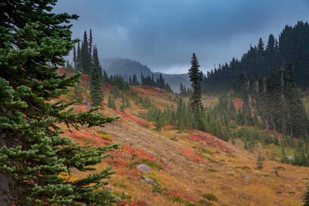 Mount Rainier National Park