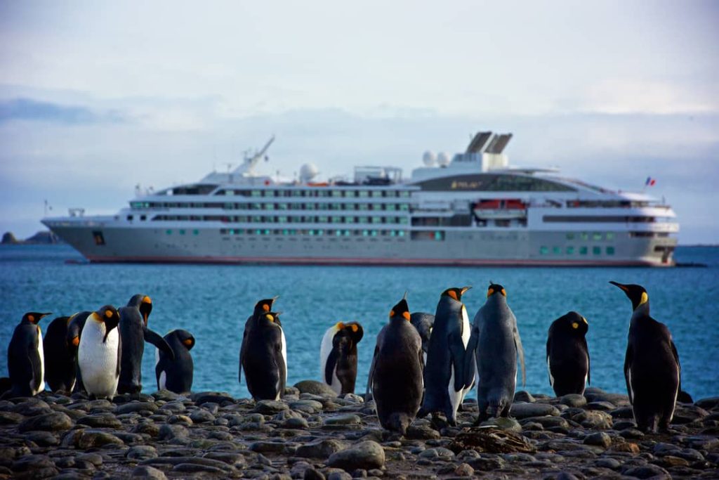 King penguins stand in front of a large cruise ship in Antarctica, arguably the best place in the world to see penguins.