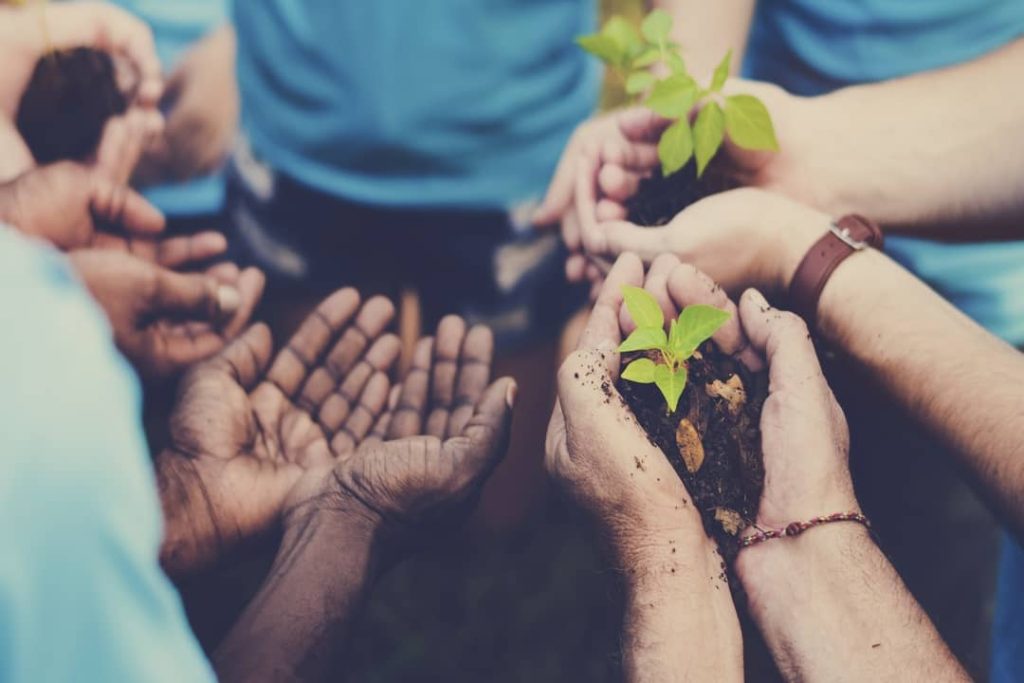Join nature conservation projects like this, where a group of volunteers helps plant different trees and bushes.