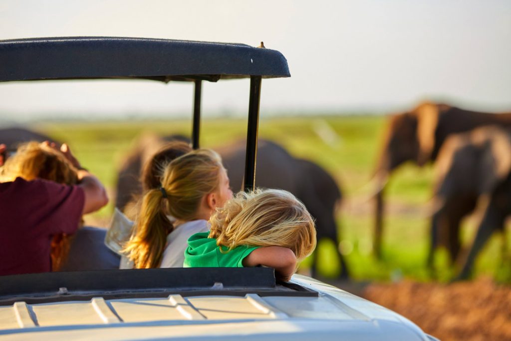 Guests in the Animal Kingdom