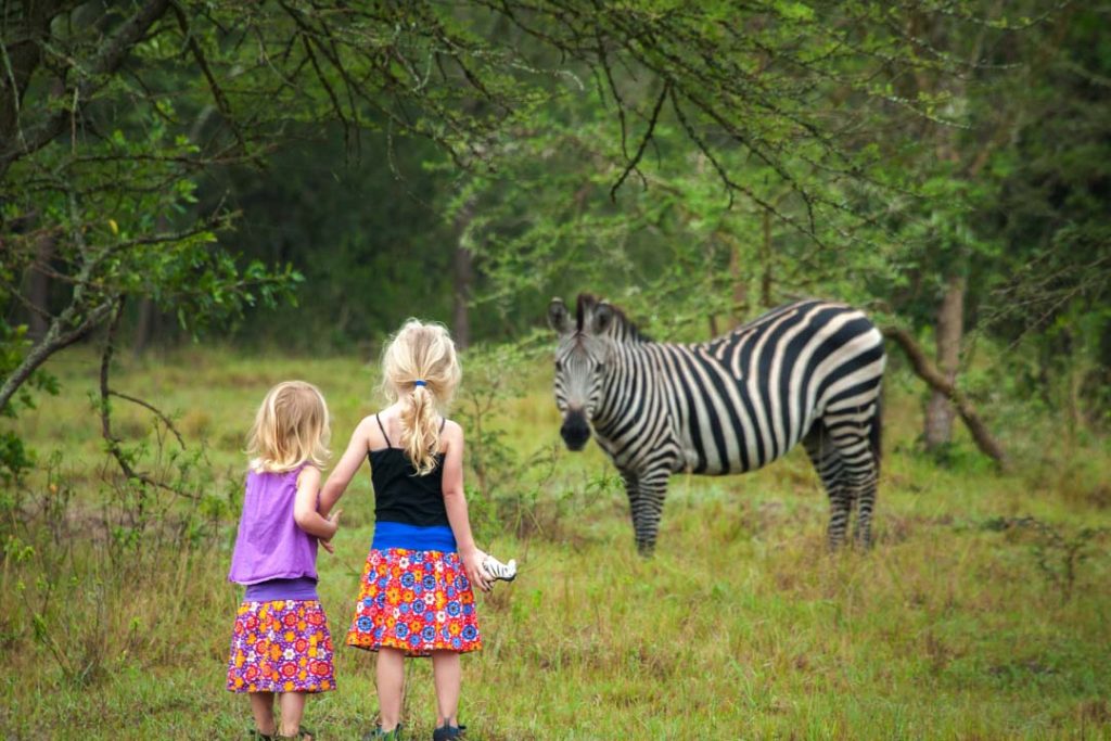 Wild and curious