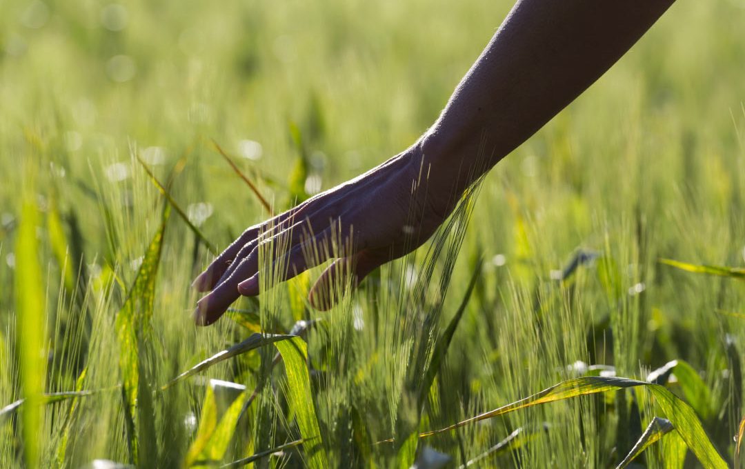 Sustainability: 365 Earth Days